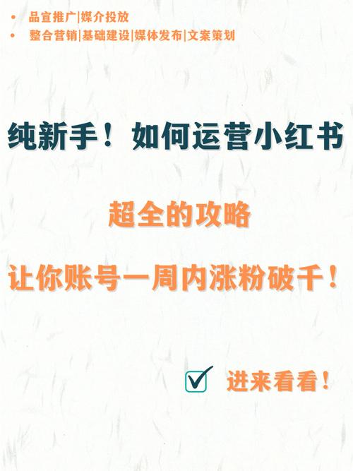 小红书买1万粉_快速增粉的秘诀！小红书买1万粉，一篇文章带你飞！