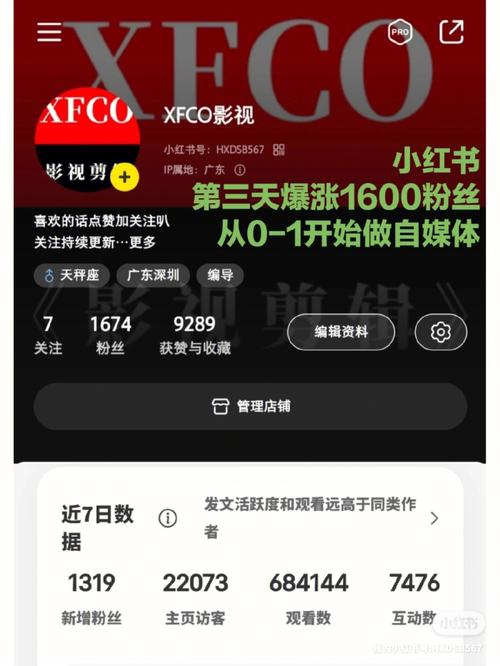 小红书买100万粉_小红书买粉后的真实体验：从新手到高手的成长之路