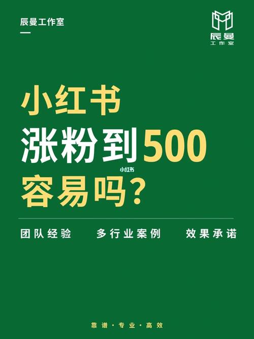 小红书买500粉在哪买_揭秘小红书买粉内幕：从500粉到百万粉丝的秘密通道