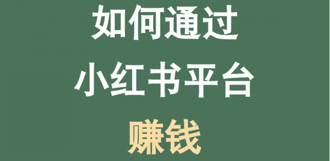  小红书买粉新玩法曝光！买粉越多，赚钱越