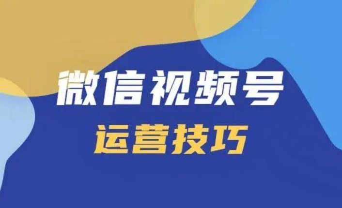 购买视频号粉丝，让你在赚钱的道路上跑出一