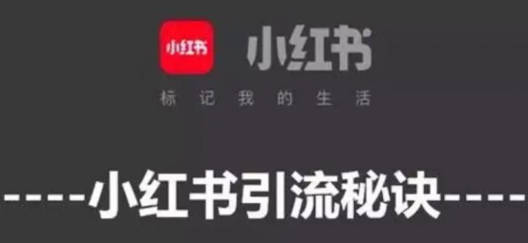   想要在小红书上购买粉丝？先看这份全面