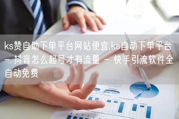 ks赞自助下单平台网站便宜,ks自动下单