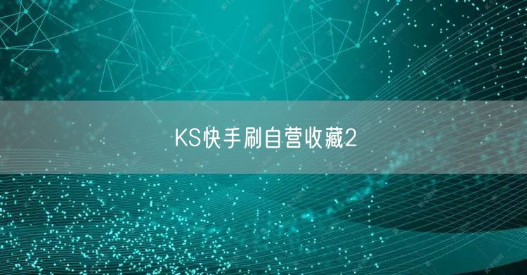 KS快手刷自营收藏2