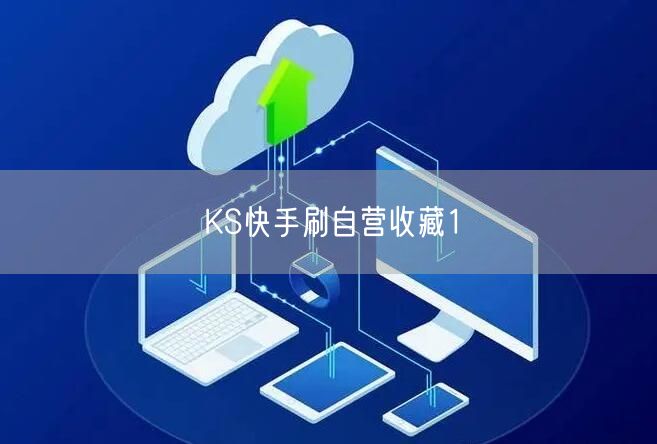 KS快手刷自营收藏1