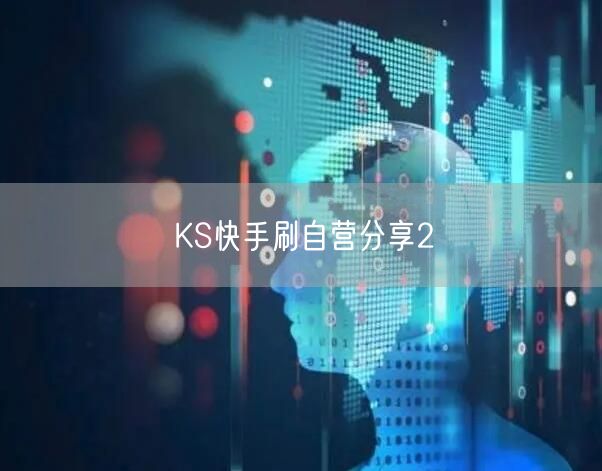 KS快手刷自营分享2