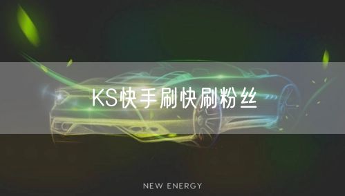 KS快手刷快刷粉丝