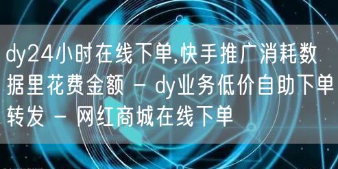 dy24小时在线下单,快手推广消耗数据里