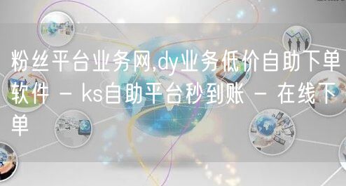 粉丝平台业务网,dy业务低价自助下单软件