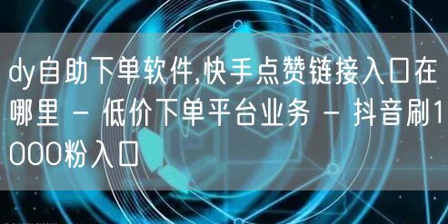 dy自助下单软件,快手点赞链接入口在哪里