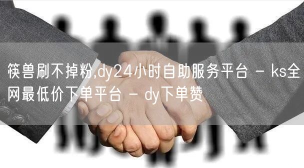 筷兽刷不掉粉,dy24小时自助服务平台 