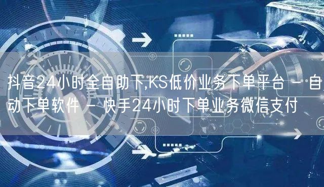 抖音24小时全自助下,KS低价业务下单平