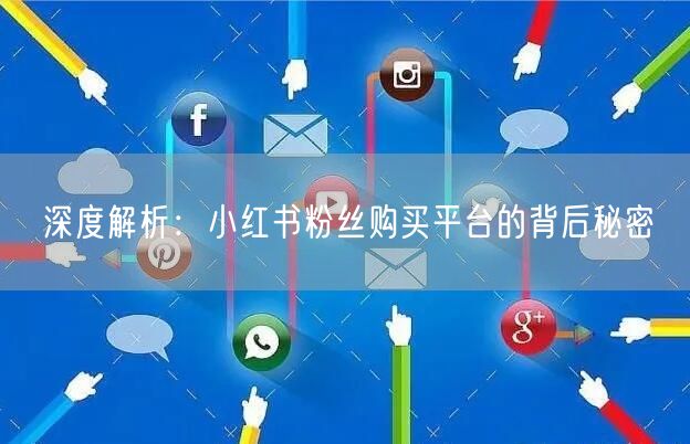 深度解析：小红书粉丝购买平台的背后秘密