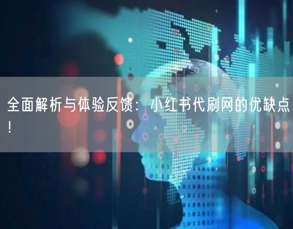 全面解析与体验反馈：小红书代刷网的优缺点