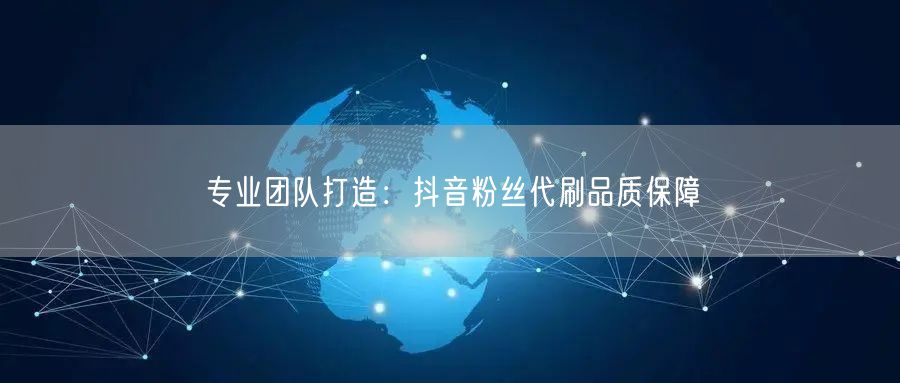 专业团队打造：抖音粉丝代刷品质保障