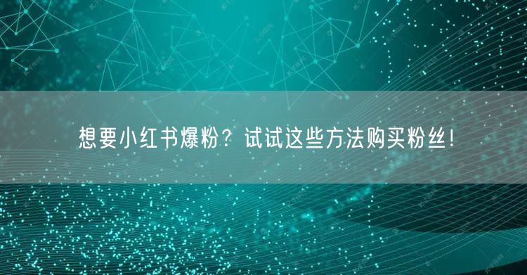 想要小红书爆粉？试试这些方法购买粉丝！