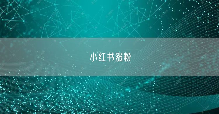 小红书涨粉