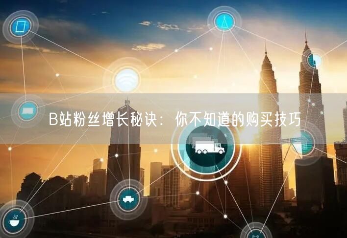 B站粉丝增长秘诀：你不知道的购买技巧