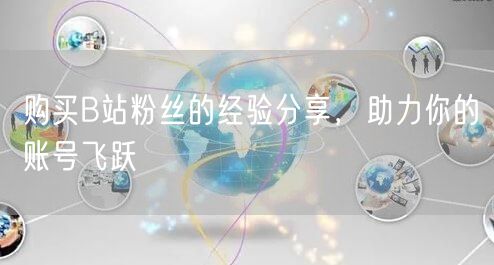 购买B站粉丝的经验分享，助力你的账号飞跃