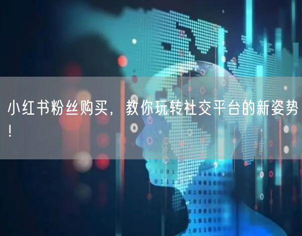 小红书粉丝购买，教你玩转社交平台的新姿势