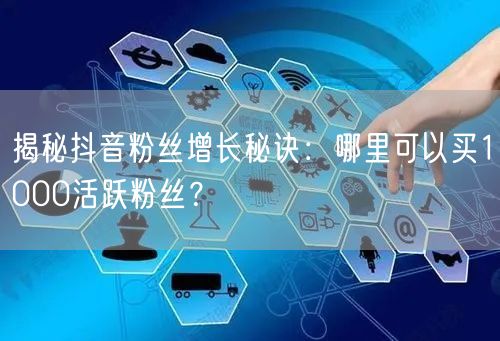 揭秘抖音粉丝增长秘诀：哪里可以买1000