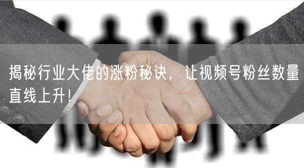揭秘行业大佬的涨粉秘诀，让视频号粉丝数量