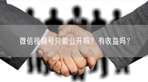 微信视频号只能公开吗？有收益吗？