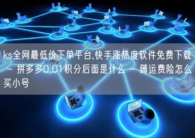 ks全网最低价下单平台,快手涨热度软件免
