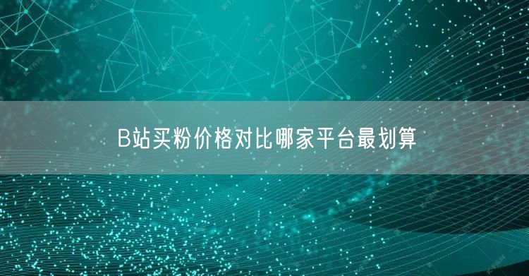 B站买粉价格对比哪家平台最划算