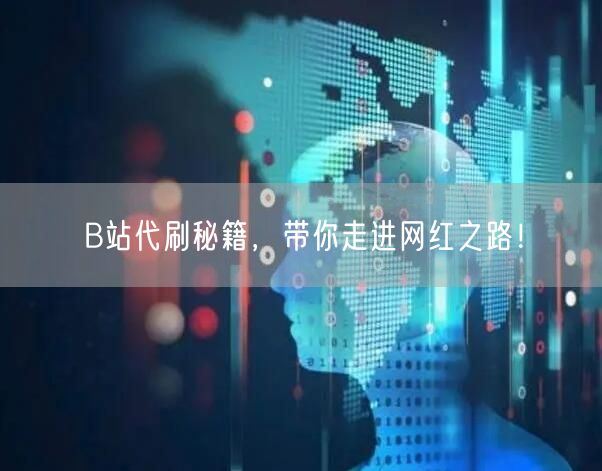 B站代刷秘籍，带你走进网红之路！