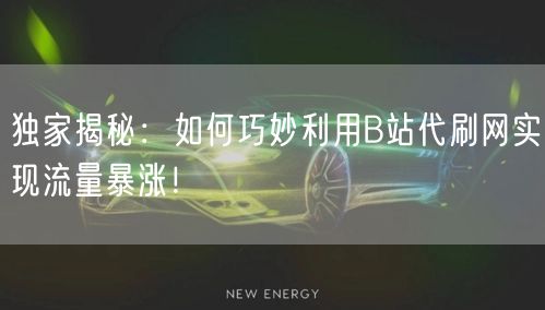 独家揭秘：如何巧妙利用B站代刷网实现流量