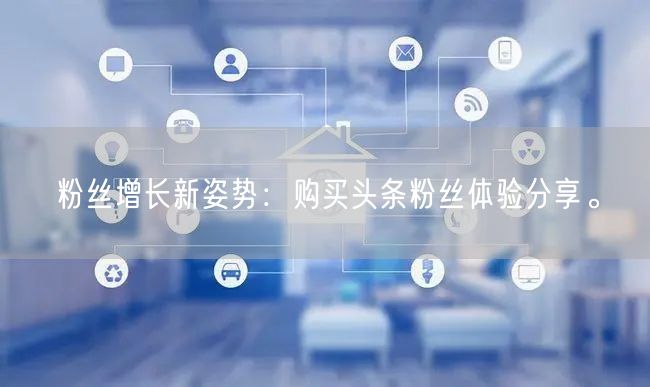 粉丝增长新姿势：购买头条粉丝体验分享。