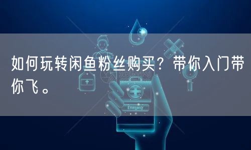 如何玩转闲鱼粉丝购买？带你入门带你飞。